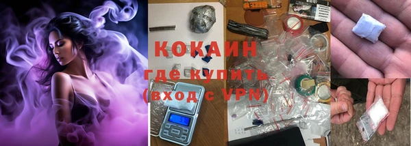 соль ск Горняк