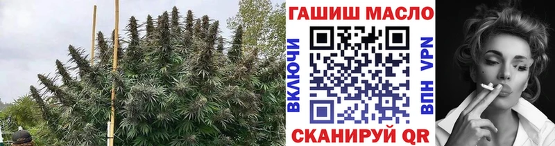 Купить закладки Отрадное ТГК вейп